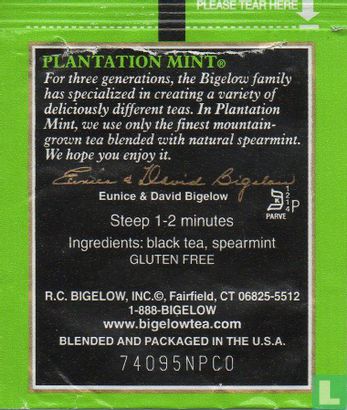 Plantation Mint [r] - Afbeelding 2