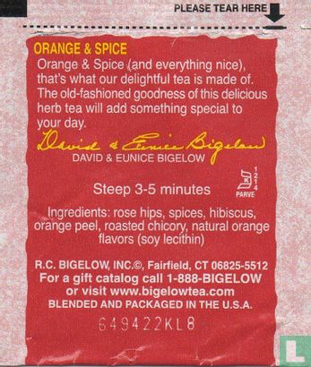 Orange Spice - Afbeelding 2