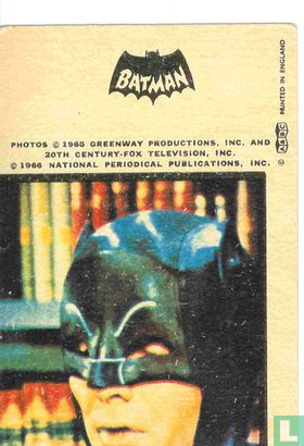 Batman and Robin - Bild 2