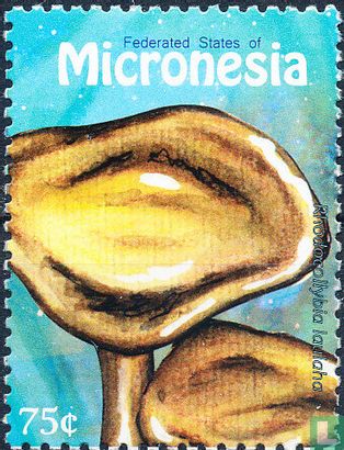 Mushrooms