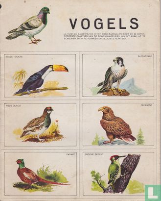 Vogels - Image 2