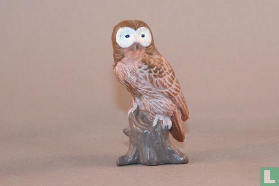 Tawny Owl - Image 1