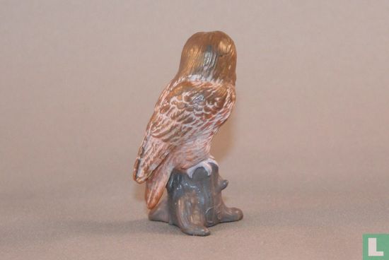 Tawny Owl - Image 2