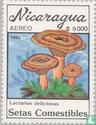 Edible Mushrooms    