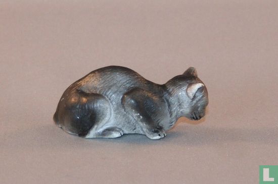 Gray cat lying - Image 2