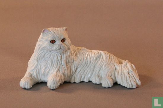Persian Cat - Image 1