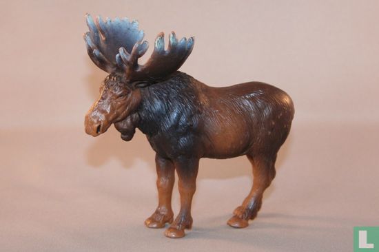 Moose - Image 1