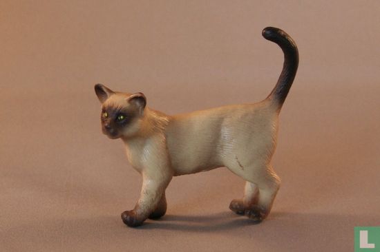 Burmese Cat - Image 1