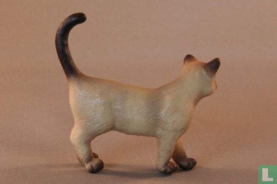 Burmese Cat - Image 2