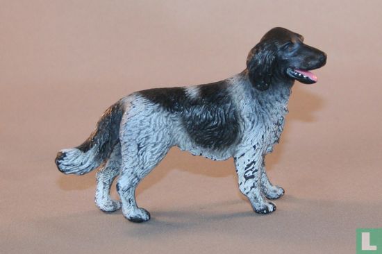 Longhaired Pointer - Image 1