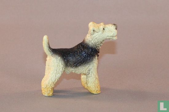 Fox terrier - Afbeelding 1