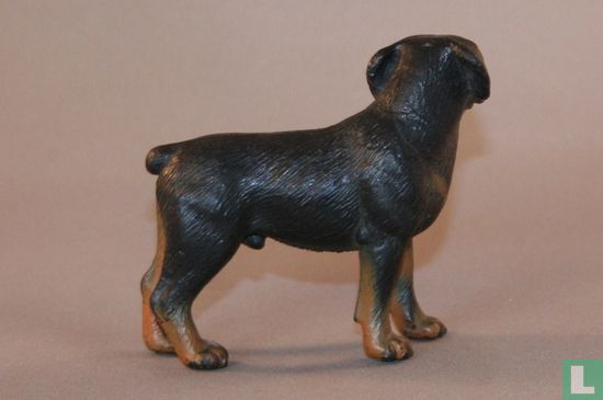 Rottweiler - Afbeelding 2