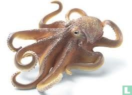 Reuze Octopus