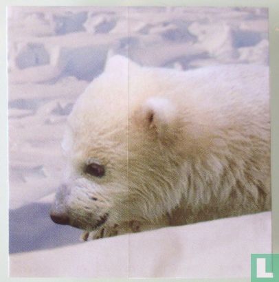 Troetels (Polar Bear) - Image 2