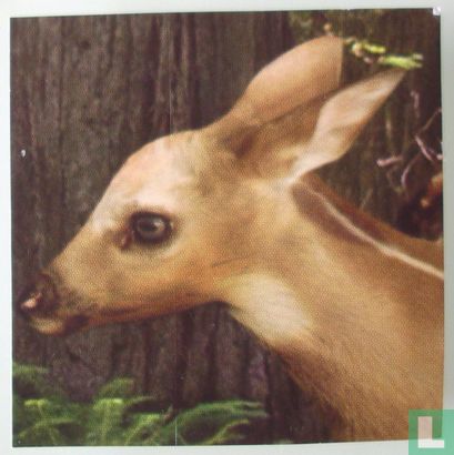 Troetels (Deer) - Image 2