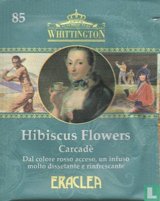 85 Hibiscus Flowers - Image 1