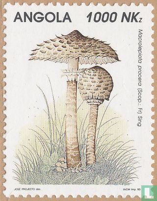 Mushrooms      