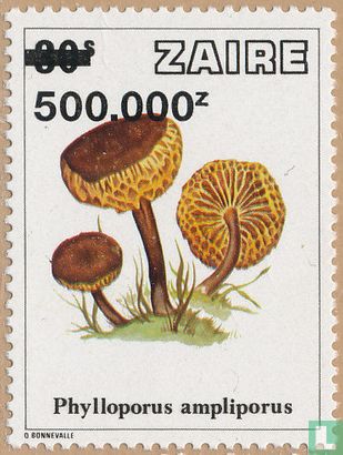 Mushrooms           