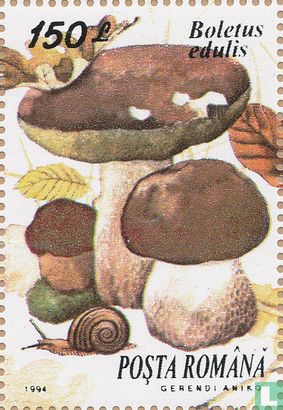 Eetbare paddenstoelen   