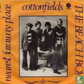 Cottonfields - Afbeelding 1