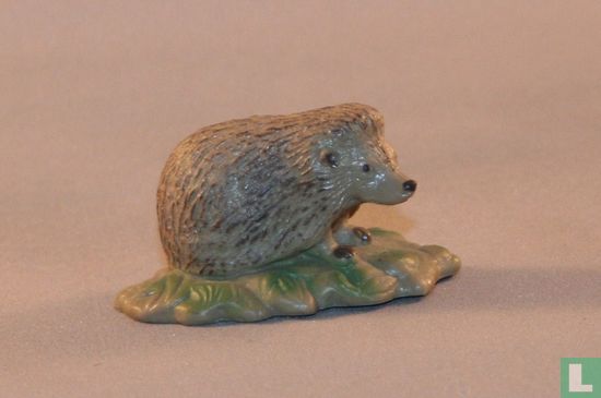 Hedgehog - Image 1