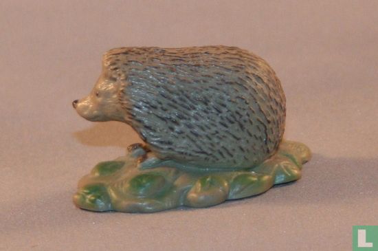 Hedgehog - Image 2