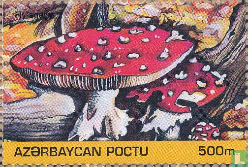Mushrooms       