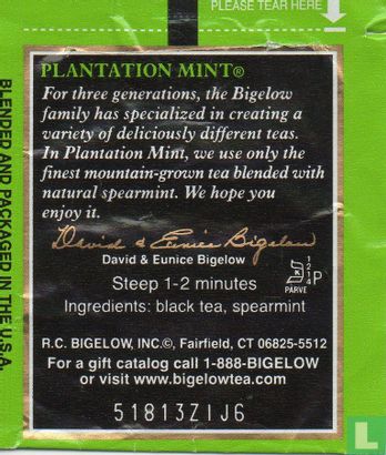 Plantation Mint [r] - Afbeelding 2