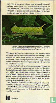 Vlinders - Image 2