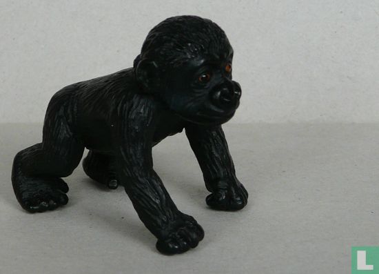 Young Silverback gorilla