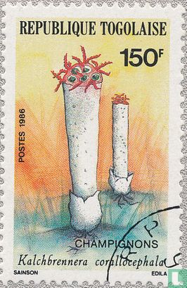 Champignons
