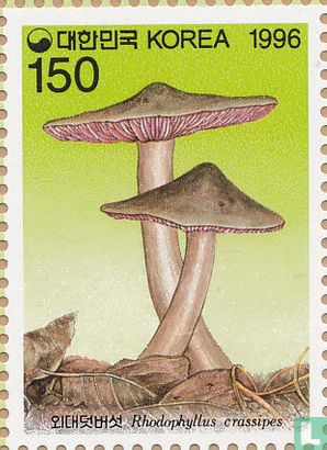 Native mushrooms     