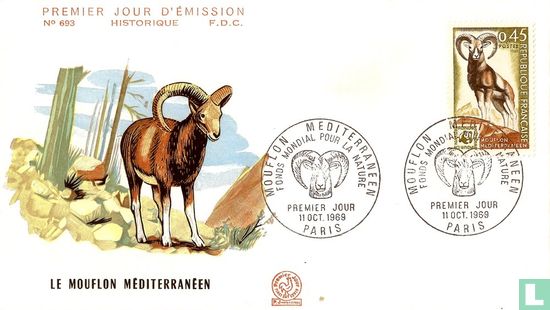 Mediterranean Mouflon - Image 1