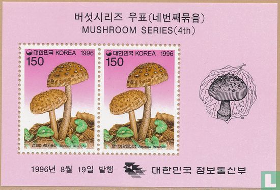 Native mushrooms   