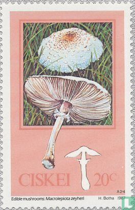 Eetbare paddenstoelen  