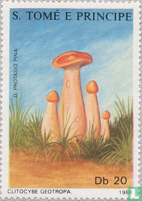Mushrooms      