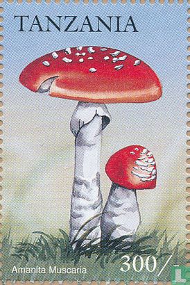 Mushrooms            