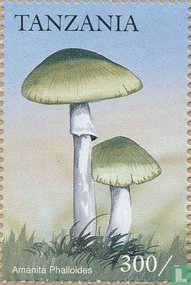 Mushrooms          
