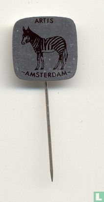 Artis Amsterdam (zebra)