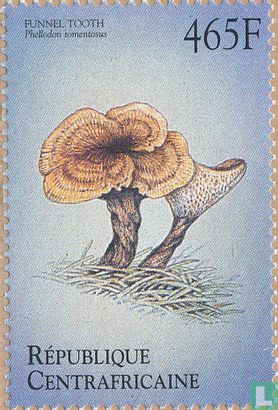 Mushrooms                 