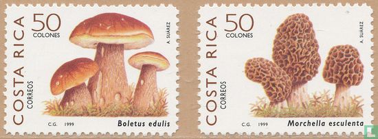 Indigenous edible mushrooms