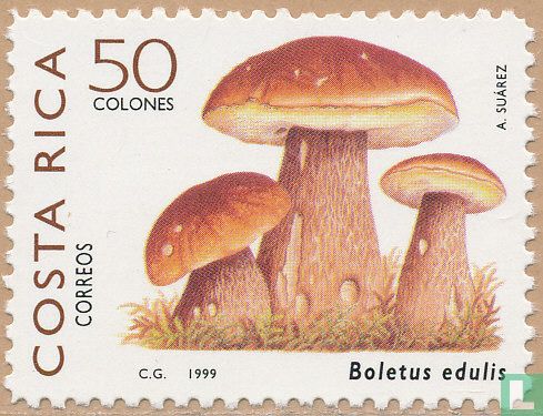 Indigenous edible mushrooms 