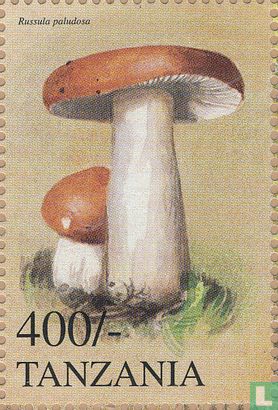 Mushrooms and forest animals         