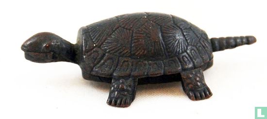Schildkröte - Bild 2