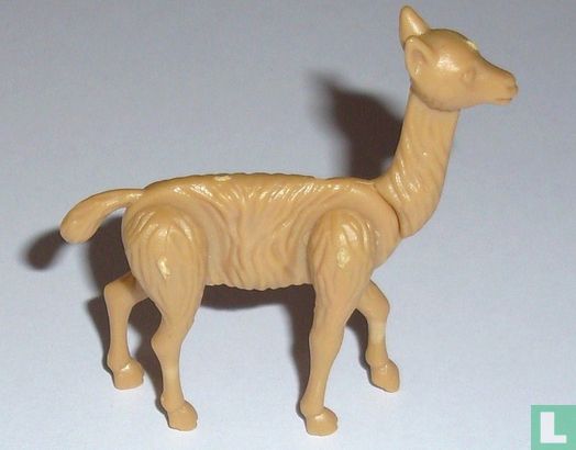 Lama