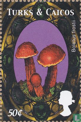Mushrooms          
