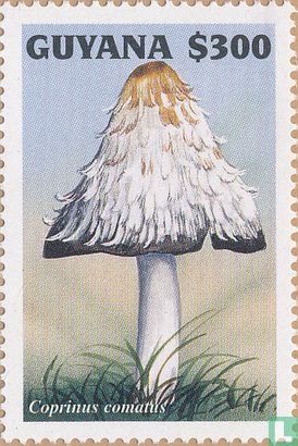 Mushrooms                