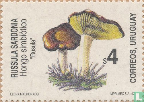 Mushrooms - Image 1