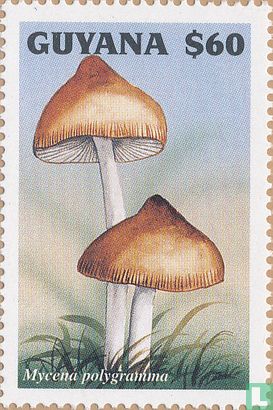 Mushrooms               