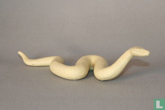 Boa Constrictor Rohling - Afbeelding 2